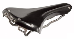 Swallow Titanium Racing Saddle