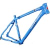 Maxlight XC120 MTB Frame