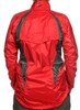 Montane