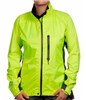 Montane