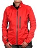 Montane