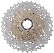 HG81 SLX 10 Speed MTB Cassette