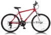 Acapulco Mountain Bike 2011 - Hardtail MTB