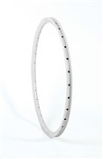 Aerowarrior 26 inch HD Rim