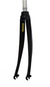 Carbon Fork With Eyelets