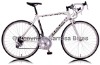 Monza 2011 - Road Bike