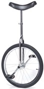 Unicycle