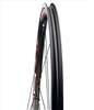 Campagnolo