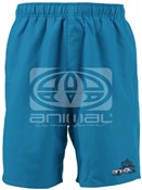 Elastic Swim Shorts