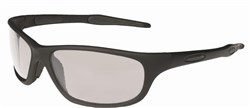 Cuttle Glasses