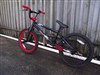 Diamondback