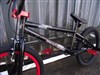 Diamondback