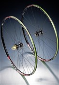 Straight Pull Crest Evo 29er Front Wheel