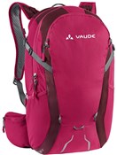 Roomy 12+3 Womens Bag