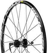 Crosstrail Disc INTL MTB Wheel