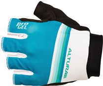 Gradient Mitt 2013