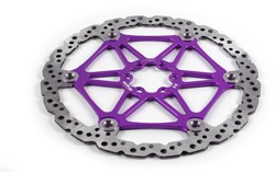 Chainring With Integrated Bash Ring (IBR)